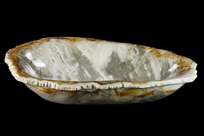 Tropical Hardwood Petrified Wood Bowl - Indonesia #132024